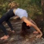 28国际的会议机制与决策流程解析 nkkbt56w