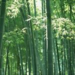 28国际与可持续发展:携手应对全球挑战 wm73v4890j